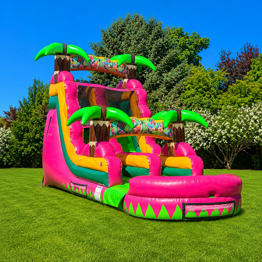 Original photo of Shane's 18ft Pink Tropical inflatable