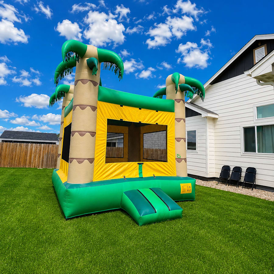 Original photo of Shane's Tropical Bounce